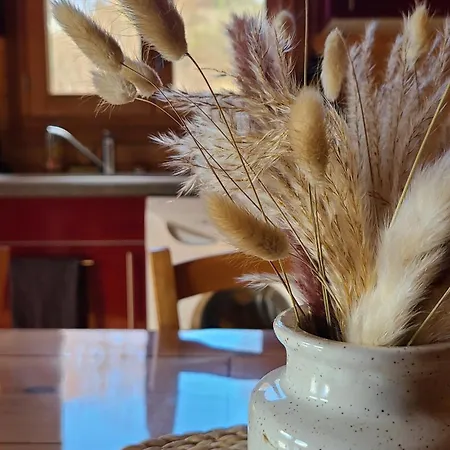 シャレー Au Coeur Du Massif Mezenc-gerbier Boree